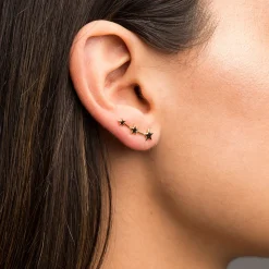 PENDIENTES CASIOPEA SILVER