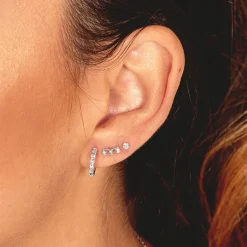 PENDIENTES ELVIRA SILVER