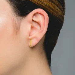 PENDIENTES FEATHER GOLD